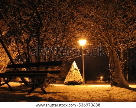 Snowy Night Park Grosser Garten Dresden Stock Photo Edit Now