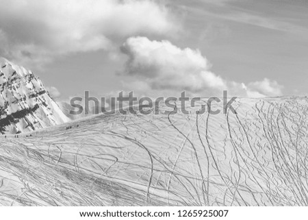 Similar – Image, Stock Photo dog in the manger