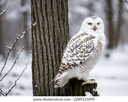  a snowy owl perched on a tree branch