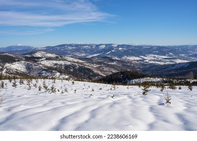 Snowy panorama at Silesian Beskid mountains range on european Bialy Krzyz in Poland, clear blue sky in 2022 warm sunny winter day on February.