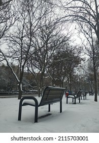 Snowy Park Bench And Branches