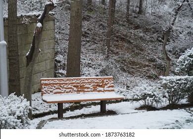 Snowy Park Bench In Winter