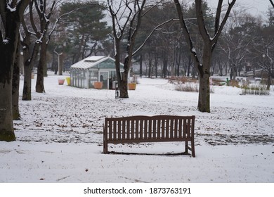 Snowy Park Bench In Winter