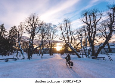 Snowy Park In Oslo Winter