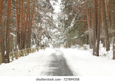 snowy path