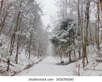 Snowy Path In The Appalachian Region Of Central Pennsylvania