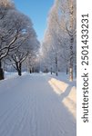 A snowy path in cold winter wonderland Finland 