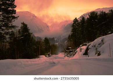A snowy path or road winds through a dense evergreen forest, leading towards misty, snow-capped mountains. The entire scene is colored by a dramatic orange and pink sunset, creating a mysterious and beautiful winter atmosphere.