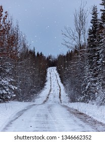 Snowy path through the forest