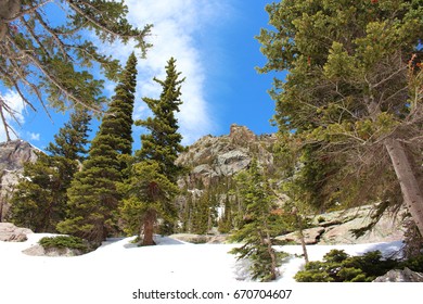 A Snowy Path Through A  Pine Tree Covered Mountainside On The Bear Lake Trail In Rocky Mountain National Park, Estes Park, Colorado, USA In The Spring