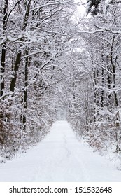 Snowy Path In Winter