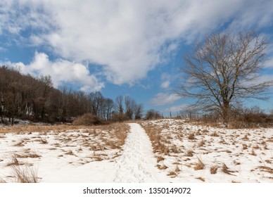 Snowy Pathway On A Winter Hill, Hudson Valley