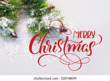 Snowy Pine Branch Cones Text Merry Stock Photo 528748099 | Shutterstock