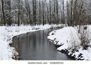 Snowy River In Springfield Oregon