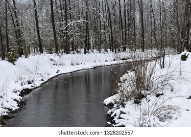 Snowy River In Springfield Oregon