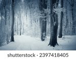 snowy road in fantasy winter forest with frozen trees