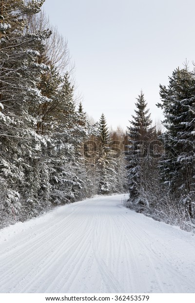 A snowy road in Finland. Image taken during daytime\
after a heavy snow blizzard. The forest is covered with snow. The\
road is very slippery and winter tyres are mandatory to have in the\
car.