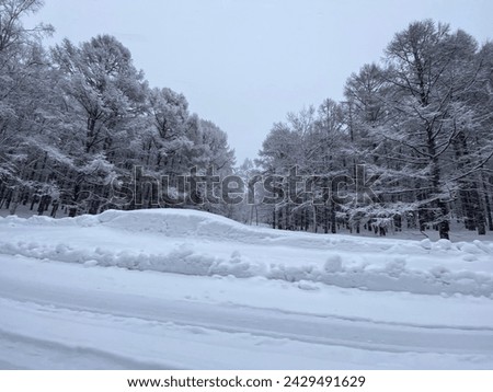 snowy road and frozen tree forest in the middle of hokkaido perfecture