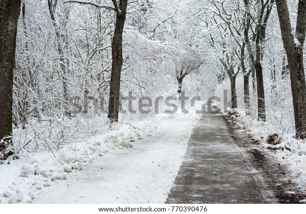 Snowy road. There is many snow\
at the forest road during winter, that can be dangerous, drivers\
should drive carefully and use winter tyres when conditions are\
bad.