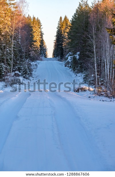 snowy\
road through a cold woodland in varmland\
sweden