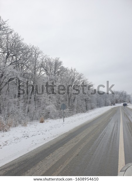 Snowy road and trees on\
winter time. 