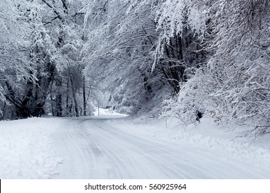 Snowy Road In Winter