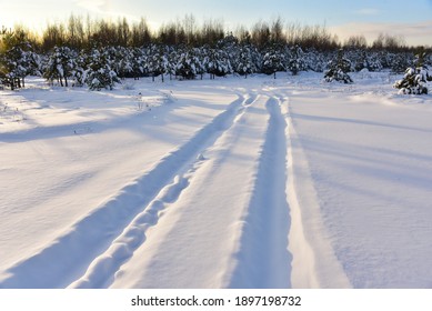Snowy road in winter forest on sunset background. Awesome winter landscape. A snow-covered path among the trees in the wildlife. Forest in the snow. Tire tracks from a car that ran in the snow
