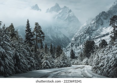 Snowy road in Wyoming leading to the Grand Teton mountains covered in clouds with snow covered fir trees lining the side of the road during winter
