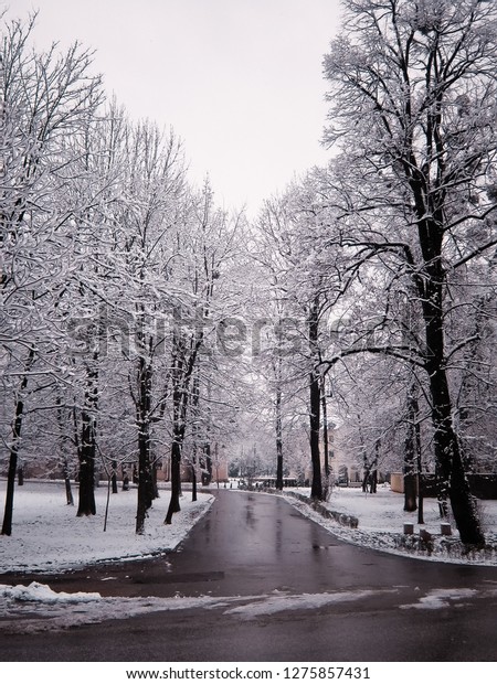 snowy roads in\
bosnia