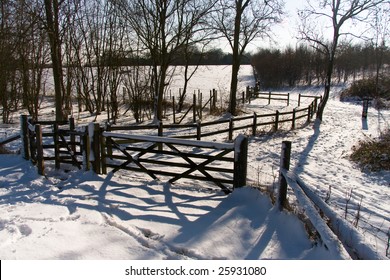 Snowy Scene With Trees, Fences And Gate, Thorndon Country Park