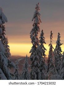 A Snowy Scene In Trysil, Norway