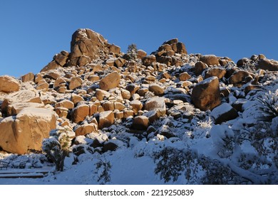 Snowy Scene From Winter In Joshua Tree