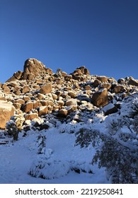 Snowy Scene From Winter In Joshua Tree