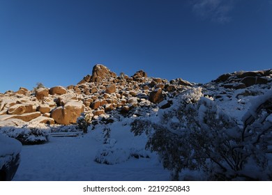 Snowy Scene From Winter In Joshua Tree