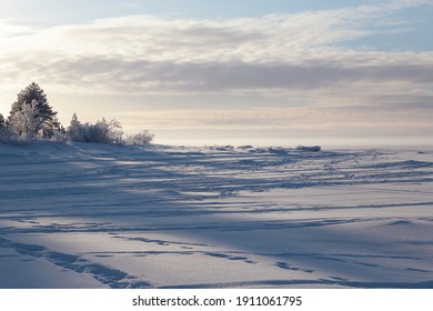 Snowy Sea Coast Of The Bothnian Bay