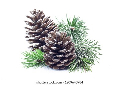 Snowy spruce branch with fir cones isolated on white background. - Powered by Shutterstock