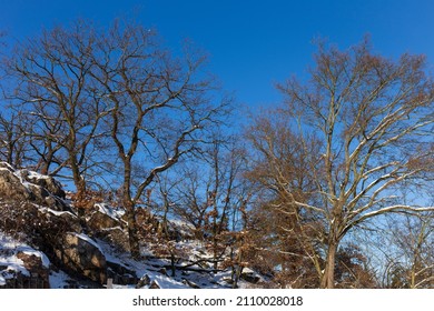 Snowy sunny Ticha Sarka in the Winter, Nature Reserve in Prague - Shutterstock ID 2110028018
