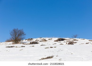 Snowy sunny Ticha Sarka in the Winter, Nature Reserve in Prague - Shutterstock ID 2110028021