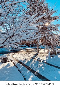 Snowy Sunrise In Middle Tennessee