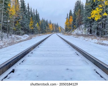 A Snowy Train Track In Denali National Park