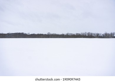 Snowy Tree Line With Copy Space