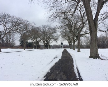 Snowy Tree Lined Path In Winter