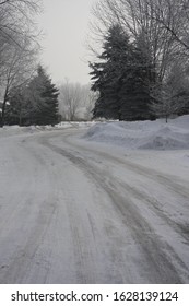 Snowy Tree Lines Midwestern Streets