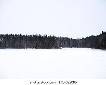 Snowy Treeline In Winter, White Sky And Snowy Lake