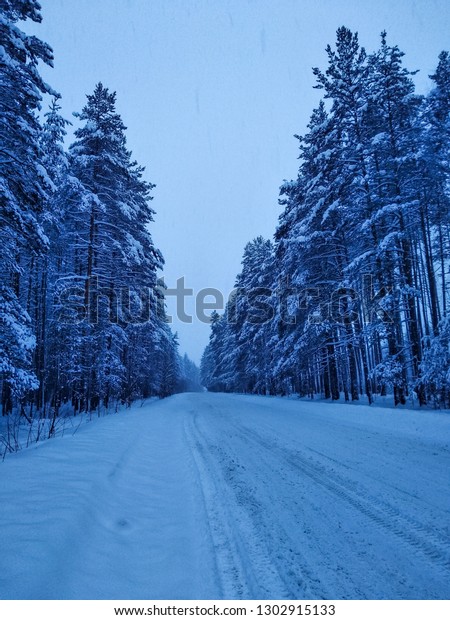 Snowy trees above the\
road