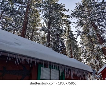 Snowy Trees And A Frosty Cabin. Taken In South Lake Tahoe California.