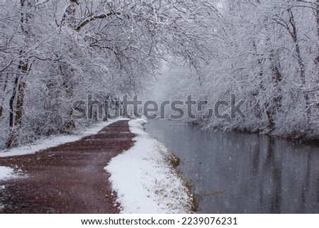 Snowy Walk on the Canal Path