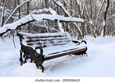 Snowy weather in winter park. Old bench covered with snow on trees background