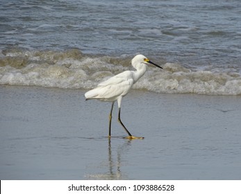 425 Crane Eating Fish Images, Stock Photos & Vectors | Shutterstock