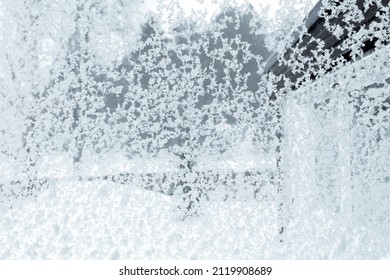 A Snowy Window, Wet Clusters During A Blizzard. View From The Indoor, Covered Glass On The Outside. Background Throughout A Garden.